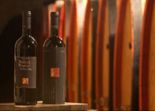 Hudsonwineco's profile picture. We are a small family run importer who specialise in fantastic wine from the foot of Italy in Puglia. We are the sole supplier in the Uk. Based in