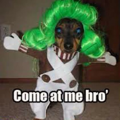 dsmith2001's profile picture. It would suck if i got to heven and the wifi sucks !!!!!!!!!!!!!!!