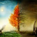 Debbie Burton - @gc5417 - Twitter