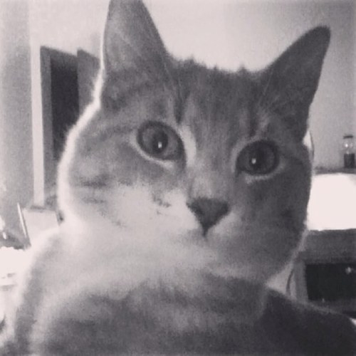 methlab8's profile picture. 