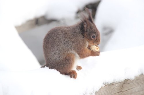 dbleaks's profile picture. 