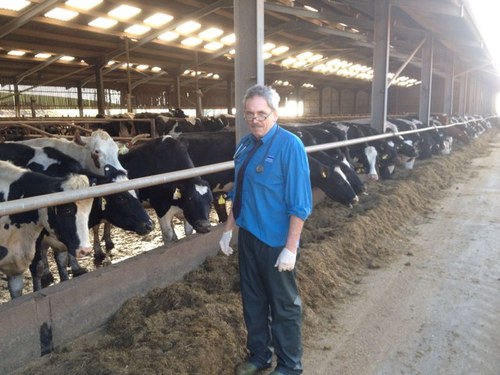 gallowayvet's profile picture. Failed in retirement attempt currently oldest vet assistant Priory Vets. Promoting lung ultrasound and flucecide wormer ecto parasitic tx monitoring