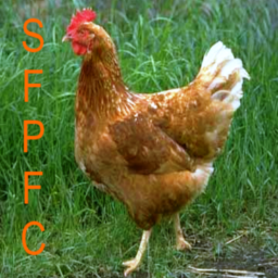 SmallFlocker's profile picture. Small Flock Poultry Farmers of Canada.  We communicate, discuss, and advocate for the civil rights and important role of Small Flock Poultry Farmers in Canada.