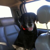 jordan.mamaspizza@gm (@gmmamaspizza) 's Twitter Profile Photo