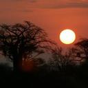 Heather Byars - @hbrackmanbyars - Twitter