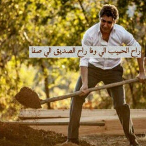 دار ابو متعب