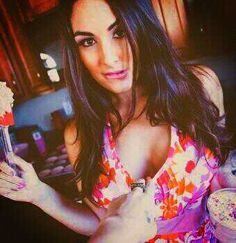 nikki bella barbie