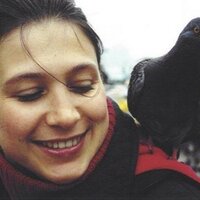 Zeliha Öztürk (@zelihazefi) 's Twitter Profile