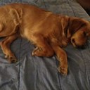 Paul Deegan - @oakdog44 - Twitter