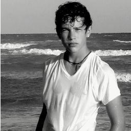 Born In The Big Apple Watched my whole city be destroyed by the rebellion now on the run (FC Austin Mahone)