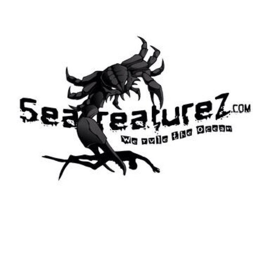 A company based on the life style of the sea! From free diving to fishing!