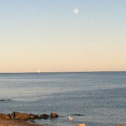 jenny371's profile picture. 