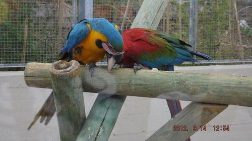 19Elisa88's profile picture. 