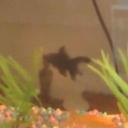 Raymond LeBron - @Raymond_LeBron1 - Twitter