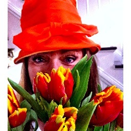 apleasanthouse's profile picture. Welcome to my Kingdom where the serfs do my bidding, I collect the taxes, and prefer to garden naked at midnight- because I can. ~Cheers