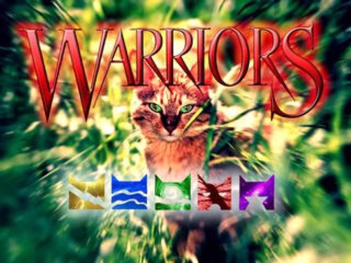 WarriorsCatInfo's profile picture. 