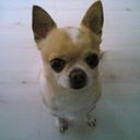 MHJ08 - @MikeHu10 - Twitter