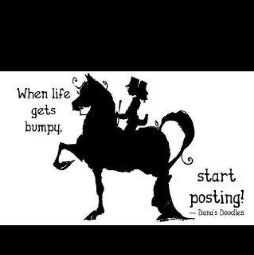 morganeqrider's profile picture. 