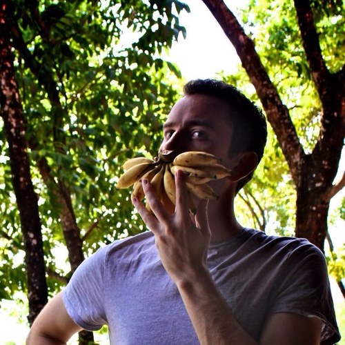 _paul_wilson's profile picture. 