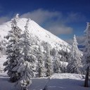 Lisa Blight - @lisaablight - Twitter