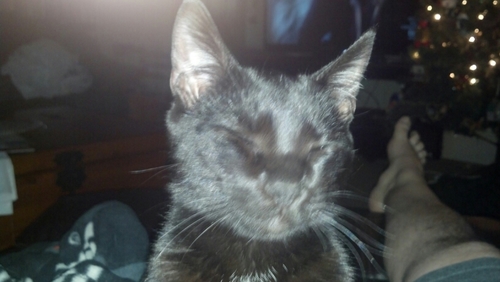 hjkimble's profile picture. Nope!