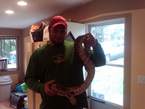 sasquatchshane's profile picture. concrete specialist