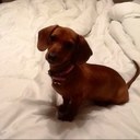 bobbie daniel - @bndaniel47 - Twitter