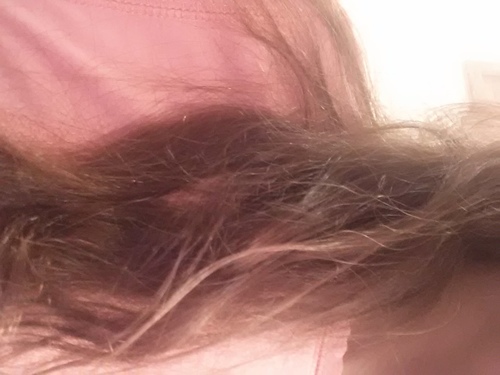 sarahschwenn's profile picture. 