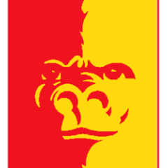 IFCPhilanthropy's profile picture. 