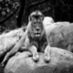 Pedro N. Neves (@pjnneves) Twitter profile photo Pedro N. Neves (@pjnneves) Twitter profile photo