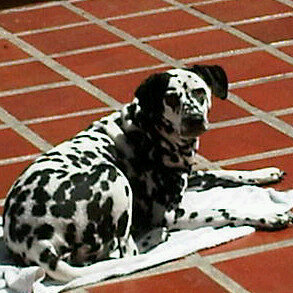 LorenaPosada14's profile picture. 