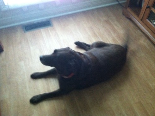 luck339's profile picture. 