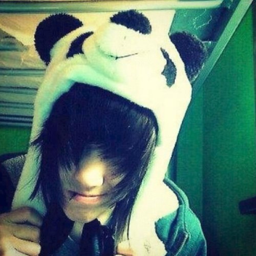 I really like bands. Especially fall out boy.