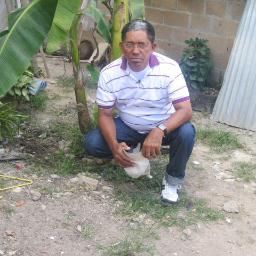 pachoatenciag's profile picture. 