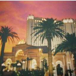 LVstriptips's profile picture. 