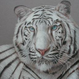 BrianPayne1980's profile picture. 