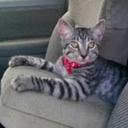 Geneva Steele - @GenevaSteele8 - Twitter