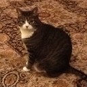 Beverly Caldwell - @BCaldwellRD - Twitter