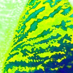 Hashy Fractal Hashyd18 Twitter