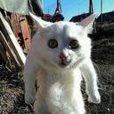 danil lysenkov (@575danchik575) Twitter