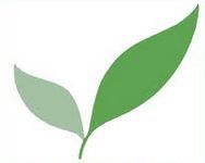 Green Tech and Sustainable Energy for Eco Friendly Living