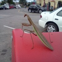 Kevin Damke (@kevindamke) 's Twitter Profile Photo