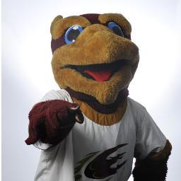 Because a school with upwards of 20 anon accounts needs this too. E-mail at elonmakeouts@yahoo.com or just tweet at us... you know you want to.