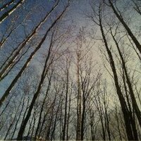 Jeff Swander (@swanderj) 's Twitter Profile
