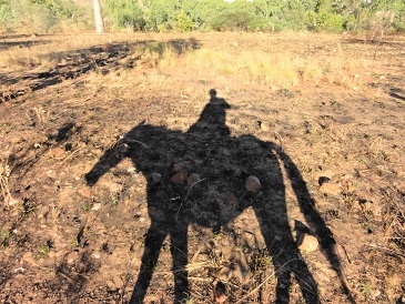 nathanr75's profile picture. Country kid living in the Perth Hills. Ride dressage, jumping and occasionally eventing. Work in government. Views are mine.