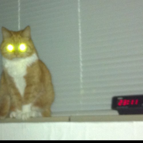 seriousomen's profile picture. 