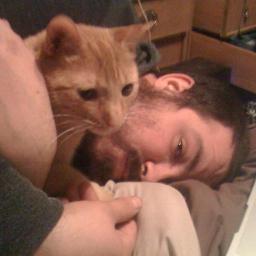 liveswith7cats's profile picture. Hi, my names Tim.  I play drums in a band called @melikebees and I have 7 cats for roommates.