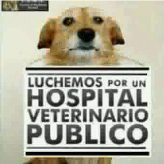 Venezolana,médico oftalmólogo/glaucomatólogo
mamá de Marcela,defensora de los animales,con pasión por la lectura,amante del buen cine,honestidad como defecto