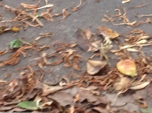 yoguilin81's profile picture. 