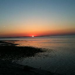 cyberlolo44's profile picture. Épicurien , Ré addict